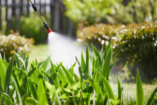 Tamper-Resistant Bait Stations for Rodents in Temple Hills