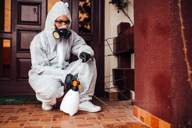 Attic and Crawl Space Rodent Treatment in Temple Hills